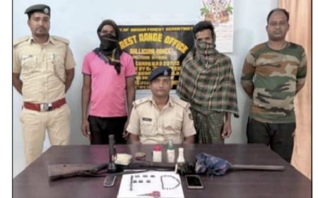 ଶିକାର ବେଳେ ମାଡ଼ିବସିଲା ବନ ବିଭାଗ: ବନ୍ଧୁକ ସହ ଦୁଇ ଗିରଫ