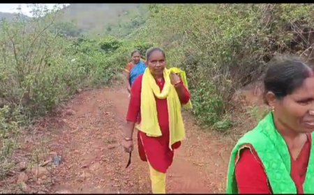 ।। ଡିପଥେରିଆ ରେ ୫ଶିଶୁ ମୃତ୍ୟ ପରେ ଚେତା ପସିଲା ପ୍ରଶାସନକୁ ମୁନୁଷପଦର ଗ୍ରାମରେ ଆରମ୍ଭ ହେଲା  ଉନ୍ନତୀ ମୂଳକ କାମ ।।