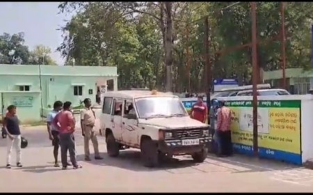 ।। ହେଟା ବାଘ ଶିକାର ହେଲା ୪ ବର୍ଷ ଶିଶୁ ପୁତ୍ର ।।