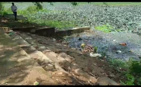 ।। ଆଡକୋଟା ନିଜର ଅସ୍ତିତ୍ବ ହରାଇବାକୁ ବସିଲାଣି ହେଲେ ପ୍ରଶାସନଙ୍କ ଦୃଷ୍ଟି ପାଇପାରୁନାହିଁ ।।