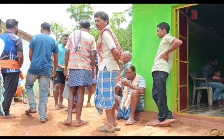 ।। ଛେଳି ଚରାଇ ଯାଇ ଥିଲାବେଳେ ମହୁଁ ମାଛି ଆକ୍ରମଣ ରେ ଜଣେ ମୃତୁ ।।