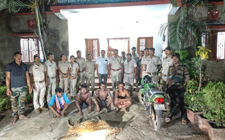 ।। ହରିଣକୁ ମାରି ଖାଇଯିବା ଘଟଣାରେ ଚାରି ଗିରଫ , ବାଇକ୍ ଓ ଧନୁତୀର ଜବତ୍ , ଦୁଇ ଅଭିଯୁକ୍ତ ଏବେବି ଫେରାର ।।