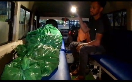 ।। ସାପ କାମୁଡାରେ  ଝିଅ ଙ୍କ ମୃତ୍ୟୁ ।।