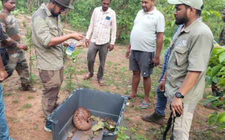 ।। ବଜ୍ରକାପ୍ତା ଉଦ୍ଧାର ।।
