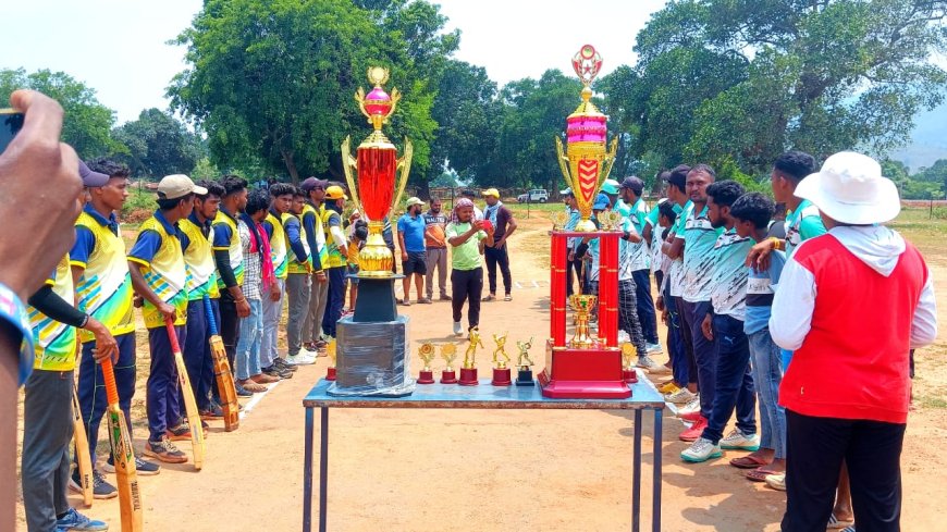 ଡି.ପି.ଏଲ.ସିସନ୍ ଟୁ କ୍ରିକେଟ ଟୁର୍ଣ୍ଣାମେଣ୍ଟ ଉଦଯାପିତ