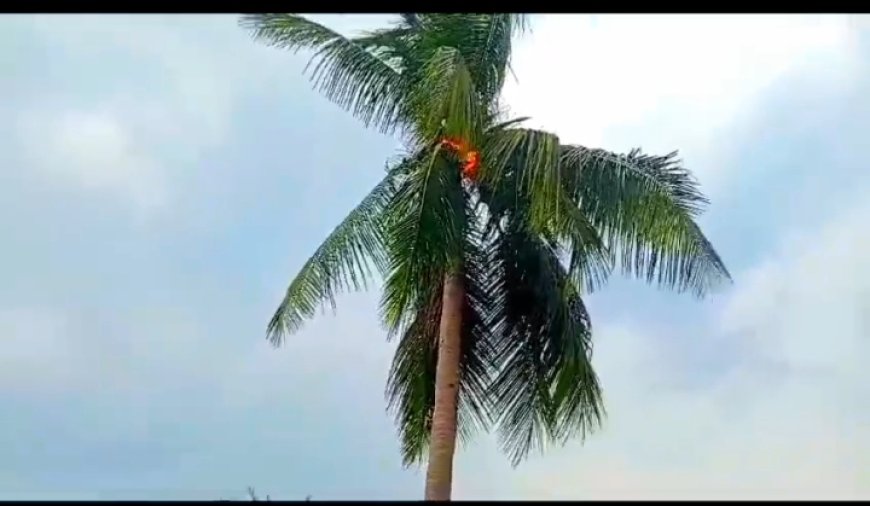 ।। ବିଜୁଳି ଆଘାତରେ ଜଳୁଛି ନଡିଆ ଗଛ ହୁତୁ ହୁତୁ ହୋଇ ।।