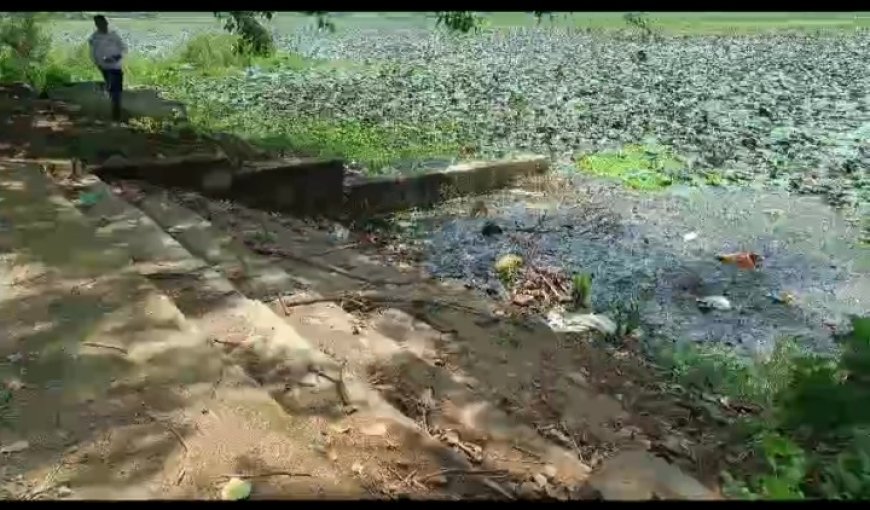 ।। ଆଡକୋଟା ନିଜର ଅସ୍ତିତ୍ବ ହରାଇବାକୁ ବସିଲାଣି ହେଲେ ପ୍ରଶାସନଙ୍କ ଦୃଷ୍ଟି ପାଇପାରୁନାହିଁ ।।