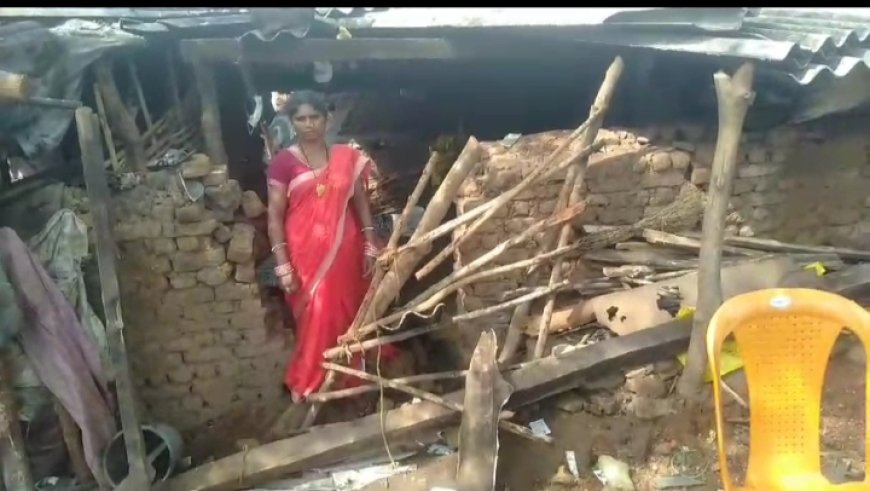 ।। ମୁନିଗୁଡ଼ା ରେଞ୍ଜ ର ପାଣି ମୁଣ୍ଡା ଗ୍ରାମରେ ହାତୀ ପଲଙ୍କ ଉପଦ୍ରବ୍ୟ ଓ ତାଣ୍ଡବ ।।