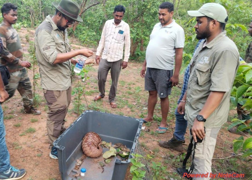 ।। ବଜ୍ରକାପ୍ତା ଉଦ୍ଧାର ।।