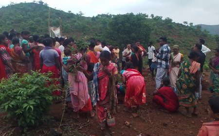 ।। ଥୁଆମୁଳ ରାମପୁର ଦକ୍ଷିଣ ବନାଞ୍ଚଳ ପକ୍ଷରୁ ବନ ମହୋତ୍ସବ ଅବସରରେ ଉପରଝାପି ପାହାଡରେ ବୃକ୍ଷ ରୋପଣ କାର୍ଯ୍ୟକ୍ରମ ।।