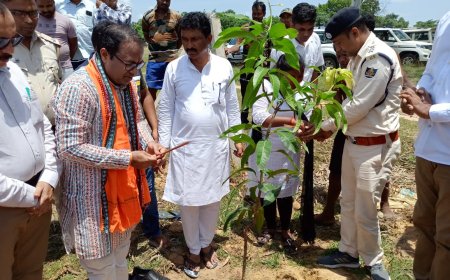।। ନଂ ୭- ବେତନଟୀ ବନବିଭାଗ ପକ୍ଷରୁ ବନ ମହୋତ୍ସବ ଓ ବୃକ୍ଷ ରୋପଣ କାର୍ଯ୍ୟକ୍ରମ ଆୟୋଜିତ ।।