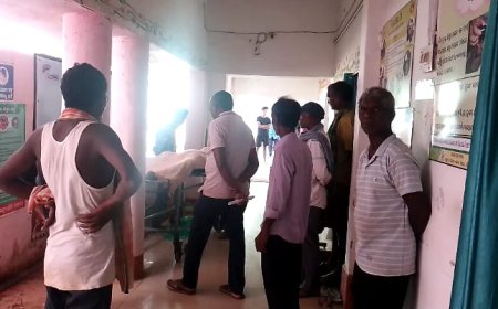 ।। ସାପ କାମୁଡ଼ାରେ ୧୬ ବର୍ଷର ନାବାଳକ ମୃତ ।।