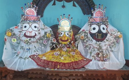 ।। ନବ ଯୌବନରେ ଦର୍ଶନ ଦେଲେ ମହାପ୍ରଭୁ ।।