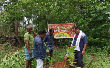 ।। ମା ତାରିଣୀ ସାମ୍ବାଦିକ ସଂଘ ଘଟଗାଁ ତରଫରୁ ବୃକ୍ଷ ରୋପଣ ।।