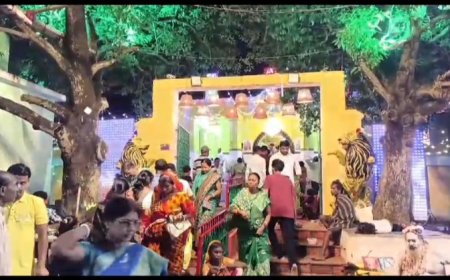 ।। ଦ୍ଵିତୀୟ ଶ୍ରୀକ୍ଷେତ୍ରରେ ମତ୍ସ୍ୟ ଓ କୁର୍ମ ବେଶରେ  ତିନିଠାକୁର ଦୁର୍ଲଭ ବେଶ ଦେଖିବାକୁ ବ୍ୟାପକ ଜନ ଗହଳି ।।