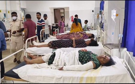 ।। ଟ୍ରକକୁ ଧକ୍କା ଦେଲା ତୀର୍ଥଯାତ୍ରୀ ବସ୍: ଡ୍ରାଇଭର ସମେତ ୩ ମୃତ ।।