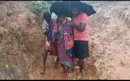 ।। ହାଡଖୁର୍ସି ଗ୍ରାମ ଜଙ୍ଗଲ ପଡା ରାସ୍ତା ଳାଗି ଭୋଗୁଛନ୍ତି ଯନ୍ତ୍ରଣା ପଡାବାସୀ ।।