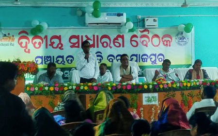 ।। ବରୀ ପଂଚାୟତ ସମିତି ବୈଠକ ।।