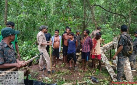 ।। ଅଭୟାରଣ୍ୟ ରେ ଗଛ କାଟୁଥିବା ବେଳେ ପାଞ୍ଚ ଗିରଫ ।।