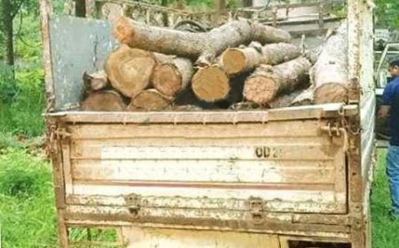 ।। ଶାଗୁଆନ କାଠ ଚାଲାଣ ବେଳେ ଭ୍ୟାନ୍ ଜବତ, ୩ ଗିରଫ ।।