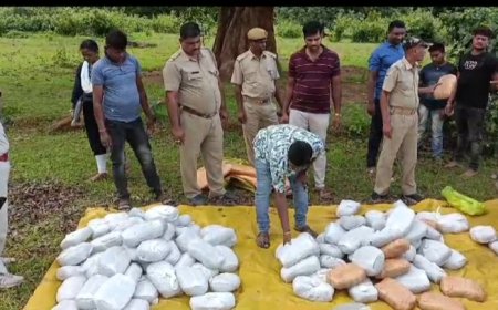 ।। ସୈଖିନ ଗାଡ଼ିରେ ଗଞ୍ଜେଇ ଚୋରା ଚାଲାଣ  ବେଳେ  ଧରିଲା ଯଶିପୁର  ପୋଲିସ ।।