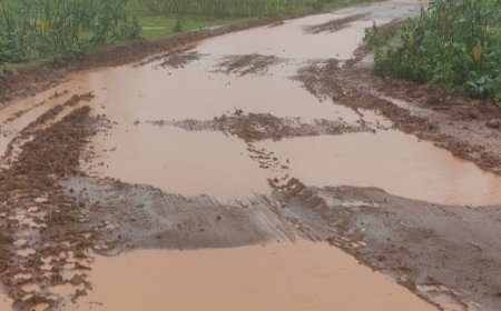 ।। ବର୍ଷାରେ ବଢୁଛି କମରାଘାଟ ଗ୍ରାମବାସୀଙ୍କ ଦୁର୍ଦ୍ଦଶା ଗାଁକୁ ନାହିଁ ପକ୍କା ରାସ୍ତା ।।