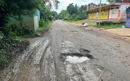 ଶୁଣିଲାନି ପ୍ରଶାସନ, ଗ୍ରାମବାସୀ ମରାମତି କଲେ ରାସ୍ତା