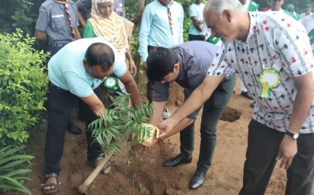 ।। ନବଜ୍ୟୋତି ବିଦ୍ୟାଳୟରେ ବନମହୋତ୍ସବ ଅନୁଷ୍ଠିତ ।।