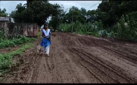 ।। ଫୁଲଝର ରାସ୍ତା ପାଲଟିଛି ମରଣଯନ୍ତା ।।