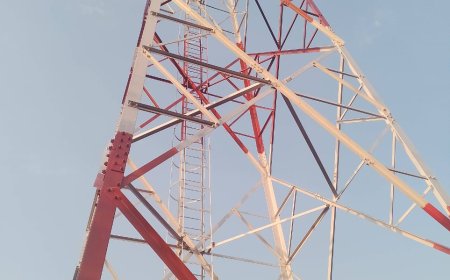 ଡିଜିଟାଲ ଇଣ୍ଡିଆ ରେ ମୋବାଇଲ ଟାୱାର ନ ଥିବା ଯୋଗୁଁ   ଅବହେଳିତ କର୍ଲାପାଟ