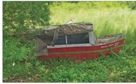 ଅଲଡ଼ା ଅବସ୍ଥାରେ ପଡ଼ି ରହିଛି ବଟ