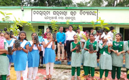 ।। ନବଭାରତୀ ଉଚ୍ଚବିଦ୍ୟାଳୟ ପକ୍ଷରୁ ଚାରା ବଣ୍ଟନ ।।