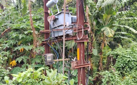 ।। ବିପ୍ପଦଜନକ ଅବସ୍ଥାରେ ଟ୍ରାନ୍ସଫର୍ମର,ଲୋକେ ଭୟଭୀତ ।।