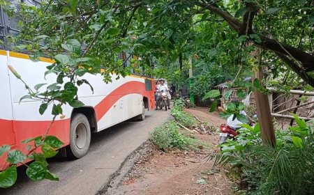 ।। କେବେ ବଦଳିବ ବରୀ ଦରଘା ନିକଟ ରାସ୍ତାର ଅବସ୍ଥା ।।