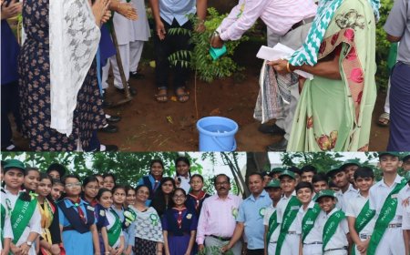 ।। ନବଜ୍ୟୋତି ବିଦ୍ୟାଳୟରେ ବନ ମହୋତ୍ସଭ ବୃକ୍ଷରୋପଣ ଅନୁଷ୍ଠିତ ।।