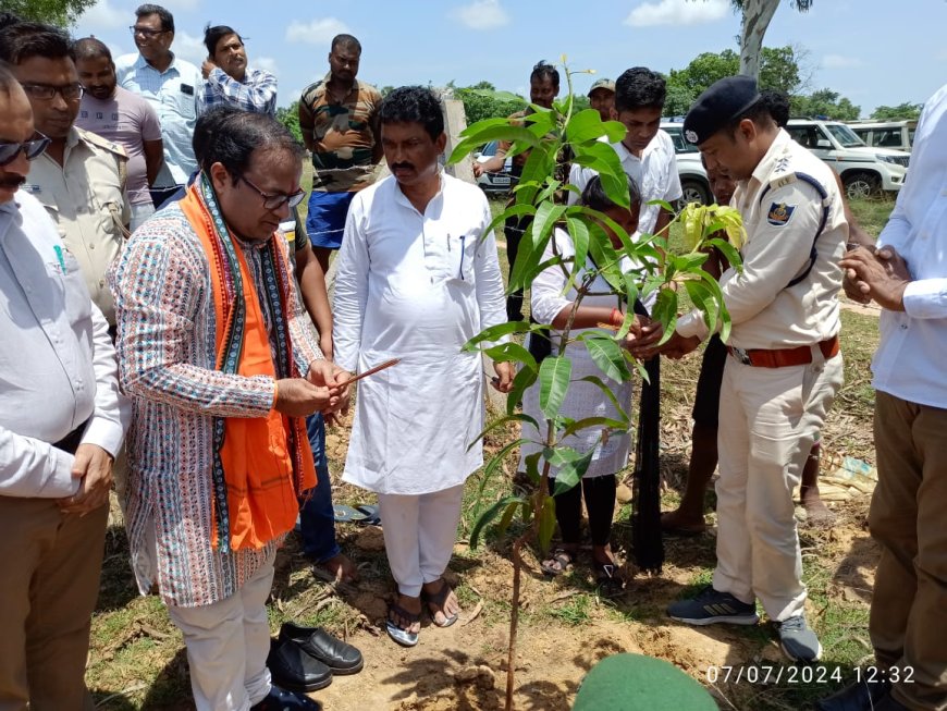 ।। ନଂ ୭- ବେତନଟୀ ବନବିଭାଗ ପକ୍ଷରୁ ବନ ମହୋତ୍ସବ ଓ ବୃକ୍ଷ ରୋପଣ କାର୍ଯ୍ୟକ୍ରମ ଆୟୋଜିତ ।।