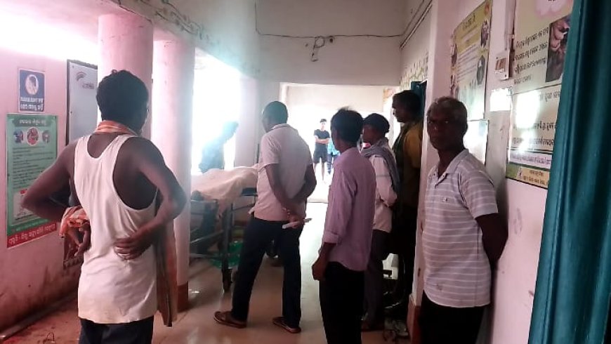 ।। ସାପ କାମୁଡ଼ାରେ ୧୬ ବର୍ଷର ନାବାଳକ ମୃତ ।।