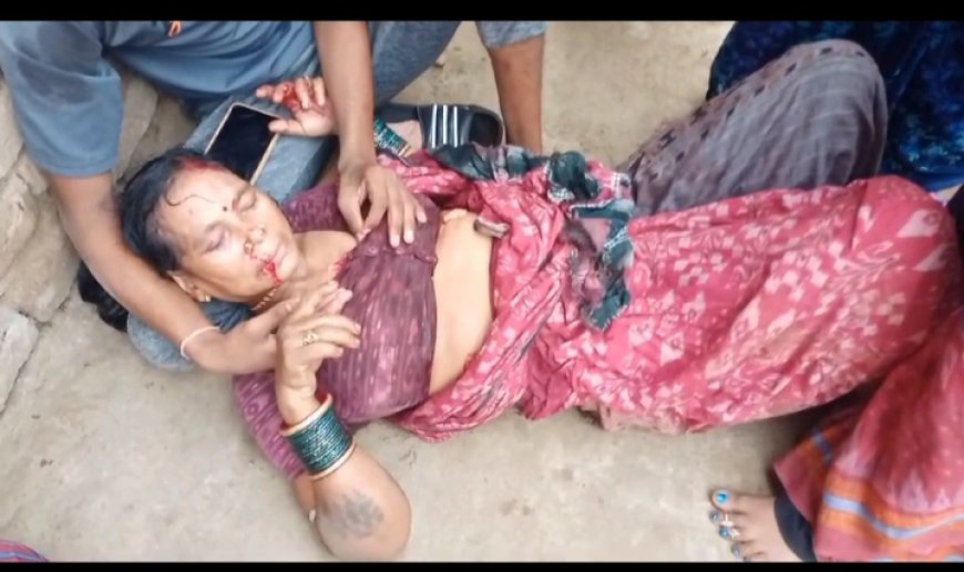 ।। ପୂର୍ବଶତ୍ରୁତା କୁ କେନ୍ଦ୍ର କରି ମରଣାନ୍ତକ ଆକ୍ରମଣ "ମହିଳା ଓ ତାଙ୍କ ନାତି ଗୁରୁତ୍ୱର ।।