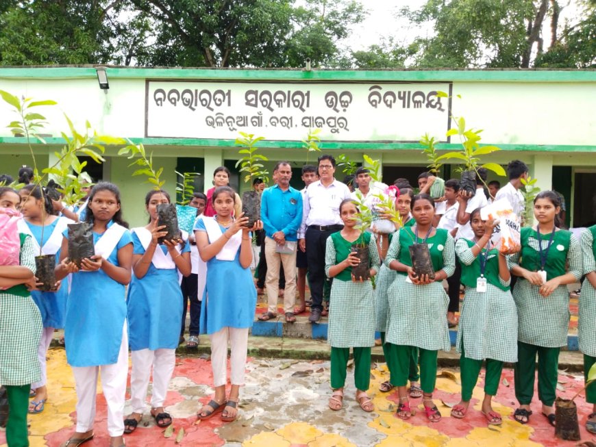 ।। ନବଭାରତୀ ଉଚ୍ଚବିଦ୍ୟାଳୟ ପକ୍ଷରୁ ଚାରା ବଣ୍ଟନ ।।