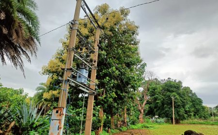 ।। ବିଦ୍ୟୁତ୍ ବିଭାଗ ଙ୍କ ମାନମନି,ଅନ୍ଧକାର ରେ ଭାଷୀ ଗଲା ଛାତ୍ରଛାତ୍ରୀ ଙ୍କ ଭବିଶ୍ୱତ ।।