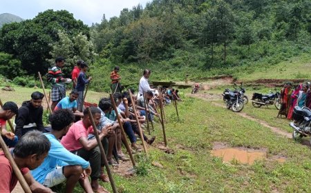 ।। ମାଳିପର୍ବତ ସଙ୍ଘ ଦ୍ଵାରା ବୃକ୍ଷ ରୋପଣ ।।