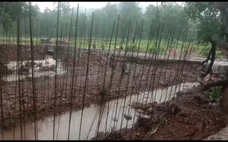 ।। P W D ରାସ୍ତା ନିର୍ମାଣ ରେ ଜନତା ହନ୍ତ ସନ୍ତ ।।