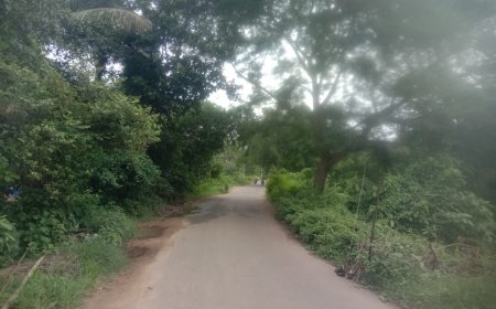 ଦରଘା ନିକଟର ଅବସ୍ଥା