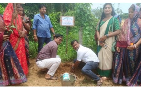 ।। ବିଶ୍ଵ ପରିବେଶ ଦିବସରେ ଅମୃତ ସରୋବର ପରିସରରେ ବୃକ୍ଷରୋପଣ ।।