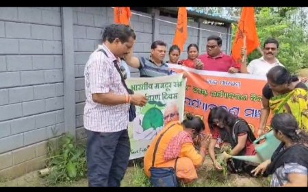 ରାୟଗଡ଼ା ଭାରତୀୟ ମଜଦୁର ସଂଘ ଏବଂ ପର୍ଯ୍ୟାବରଣ ମଞ୍ଚ ପକ୍ଷରୁ ରାଷ୍ଟ୍ରୀୟ ପର୍ଯ୍ୟାବରଣ ଦିବସ ପାଳନ