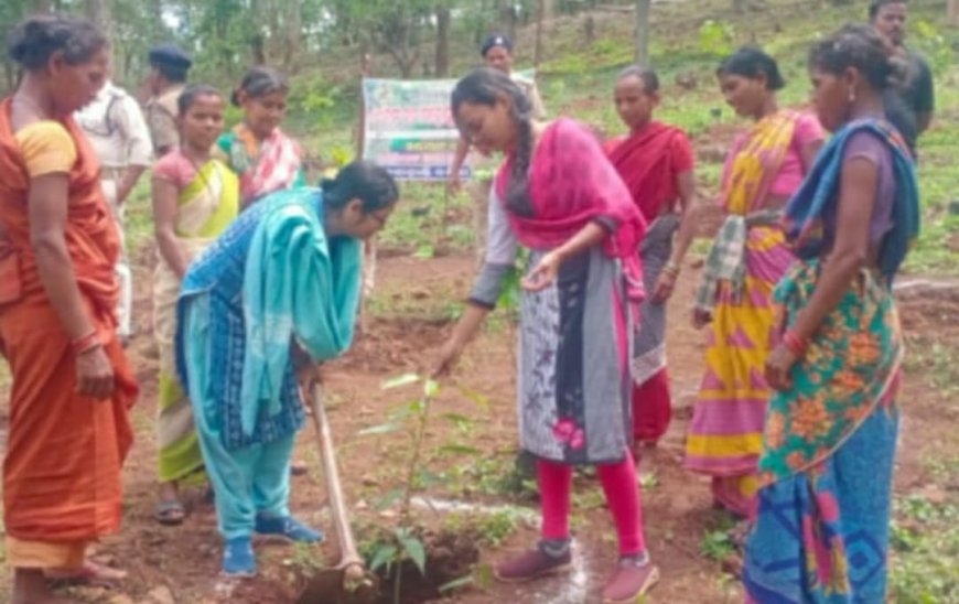 ।। ଜଙ୍ଗଲ ବିଭାଗ ର ଚାରା ରୋପଣ ରେ ମହା ଦୁର୍ନିତି ,ମଜୁରିଆ ୧ ବର୍ଷ ହେଲା ମଜୁରୀ ପାଇ ନାହାଁନ୍ତି ଶ୍ରମିକ ।।