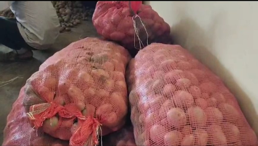 ।। ଯୋଗାଣ ଅଧିକାରୀ ଅଭିଷେକ ପଣ୍ଡା ଙ୍କ ଦ୍ୱାରା ଆଳୁ କେଜି ୩୫ଟଙ୍କାରେ ବିକାହେଲା ।।