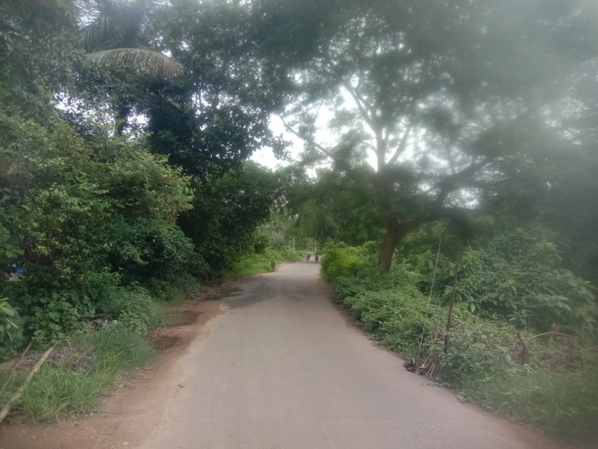 ।। ବରୀ ବ୍ଲକର ଜୀବନ ରେଖା କୁହା ଯାଉଥିବା ।।