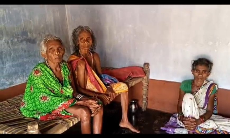 ।। ମୁନିଗୁଡା ବ୍ଲକର ଜଗଦଲପୁର ଗତି ଗୁଡ଼ା ଗାଁ ରେ ଝାଡ଼ାବାନ୍ତି, ଜଣେ ମୃତ ୯ ଜଣ ଆକ୍ରାନ୍ତ, ଗାଁରେ ୫ ଜଣିଆ ଡାକ୍ତରୀ ଟିମ୍ ।।