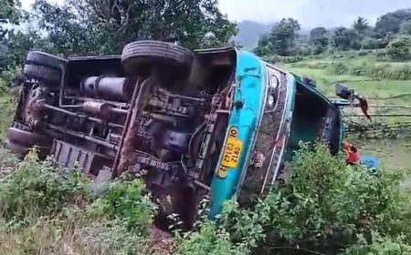 ଗୋରୁ କୁ ବଞ୍ଚେଇବା କୁ ଯାଇ ଯାତ୍ରୀବାହୀ ମାଳତୀ ବସ ଦୁର୍ଘଟଣା ଗ୍ରସ୍ତ : ଗୋରୁର ମୃତ୍ୟୁ : ୧୦ରୁ ଉର୍ଧ୍ଵ ଆହତ